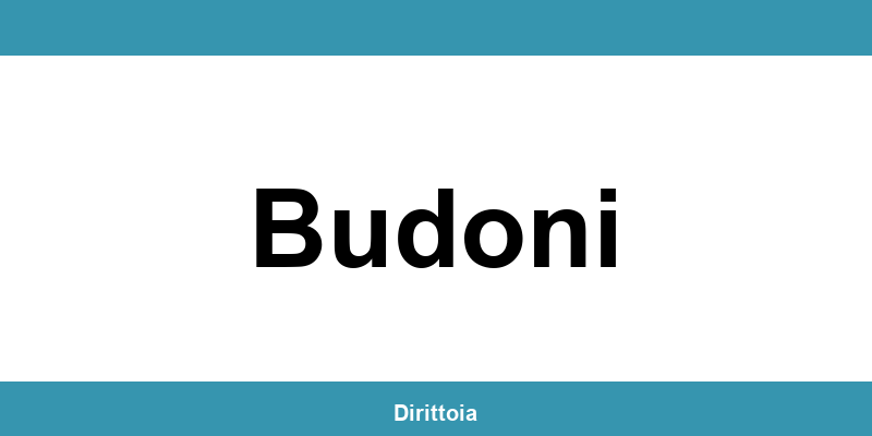 Contatti e orari della sede SIAE a Budoni