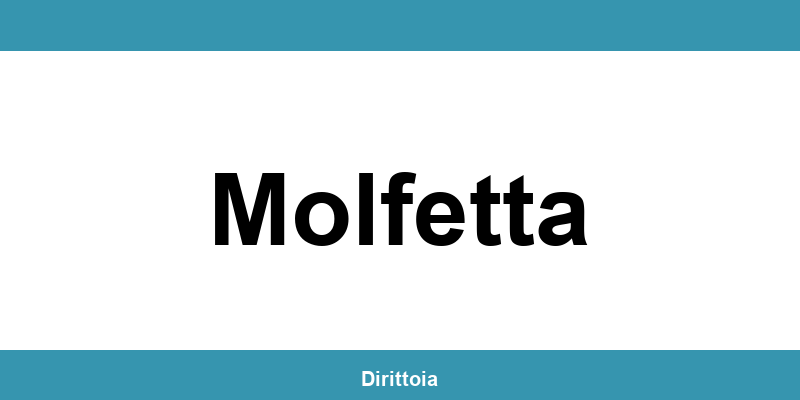Contatti e orari della sede SIAE a Molfetta